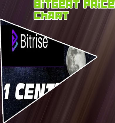 Bitrise price