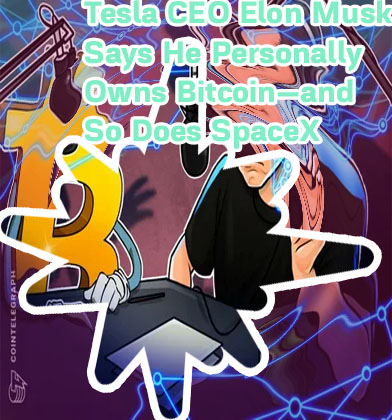 Elon crypto