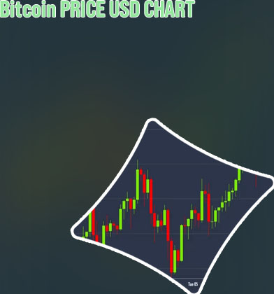 Live bitcoin price