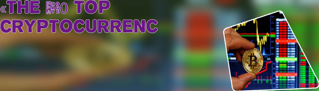 What is the best crypto exchange