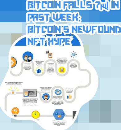 Who has the most bitcoin