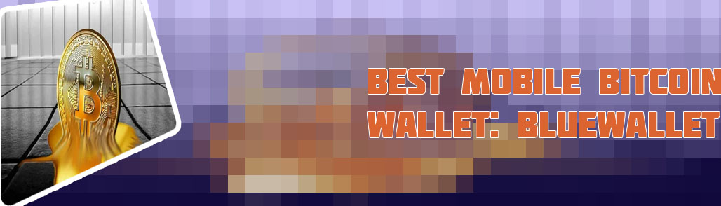 Who holds the most bitcoin